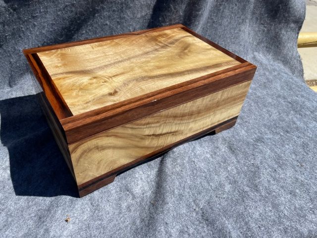 myrtle burl keepsake box walnut trim top side